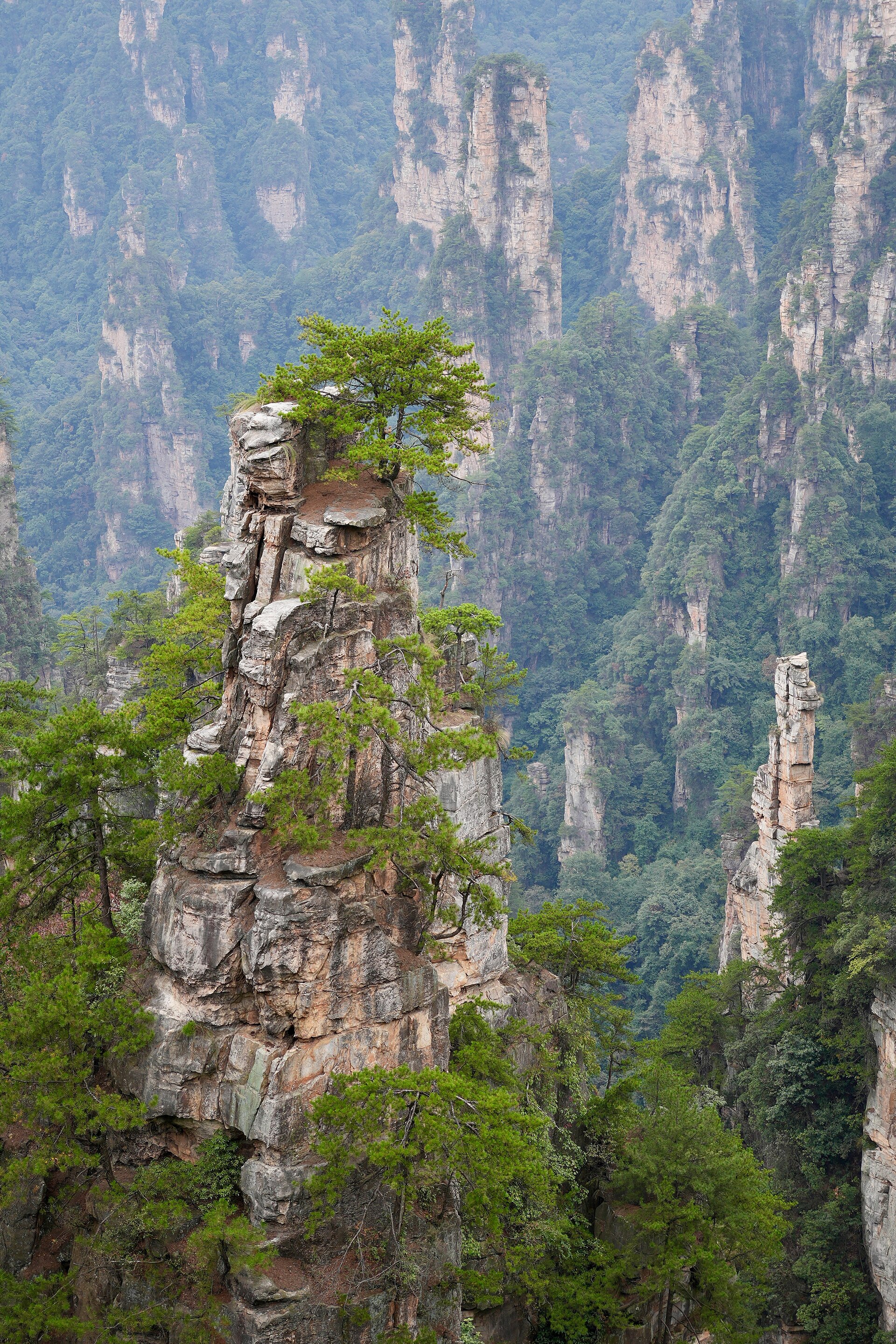 Zhangjiajie sandstone pillars