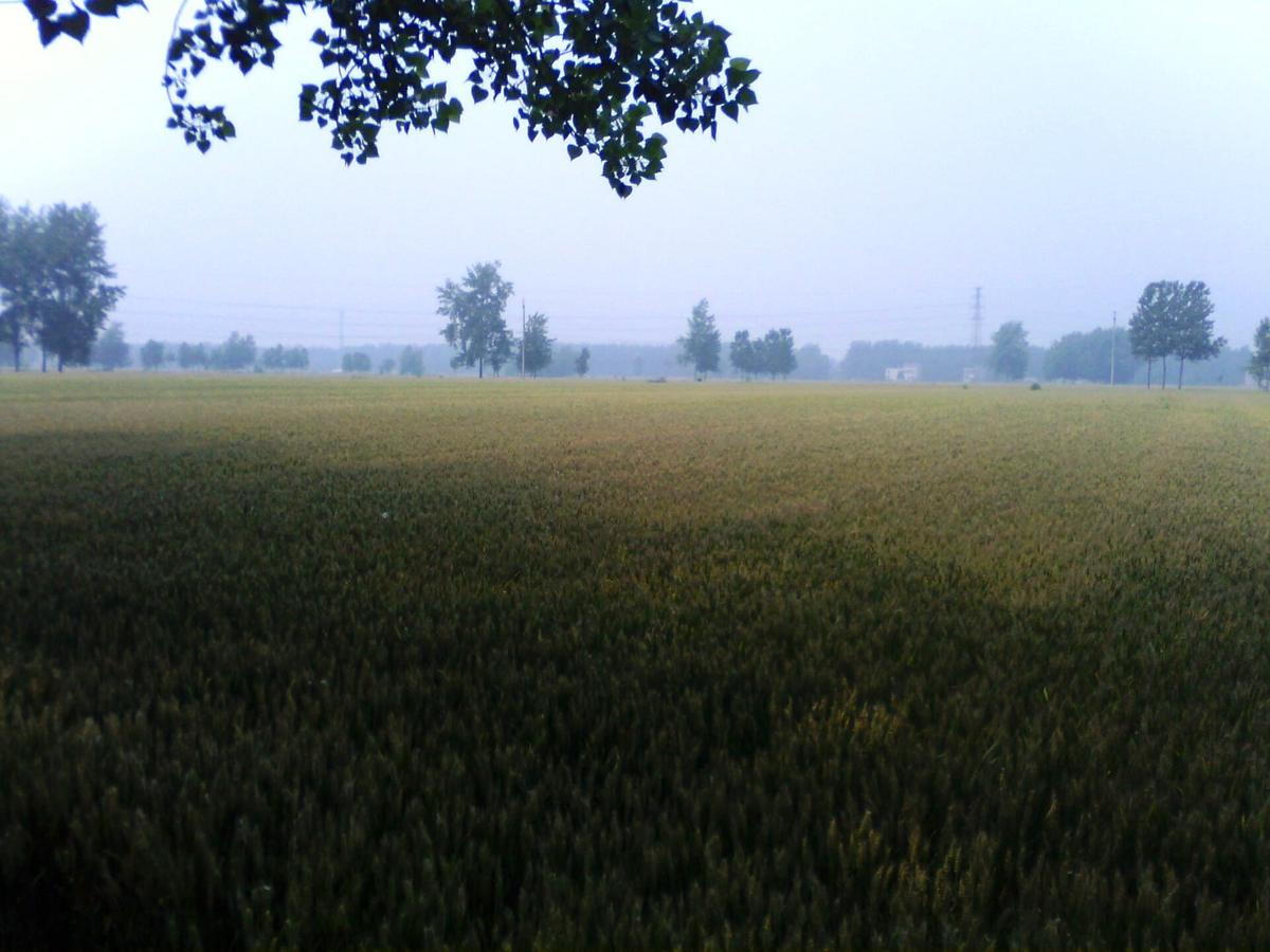 Anhui countryside village path